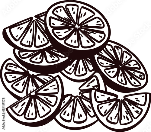 Hand drawn citrus fruit slices illustration in vintage engraved on white background
