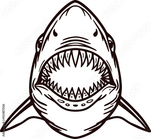 open mouth great white shark illustration showing sharp teeth in aggressive pose black and white line drawing