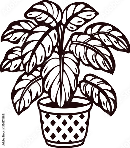 Hand drawn potted tropical houseplant with broad striped leaves in decorative basket isolated on white background