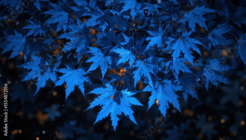 A close-up of blue maple leaves against a dark background with bokeh lights.