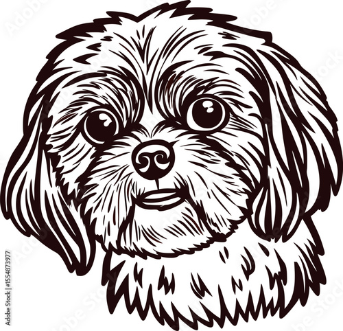 Detailed hand drawn shih tzu dog face illustration with expressive eyes and fluffy fur on white background