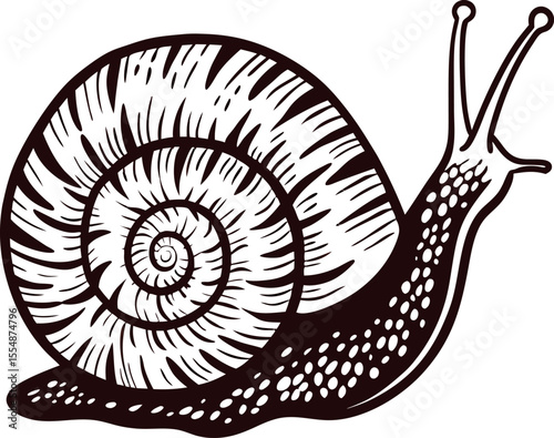 Detailed ink sketch of a spiral shelled snail with textured body and antennae, isolated on white background