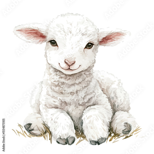 Fluffy Baby Lamb Field, watercolor drawing vector, isolated on a white background.