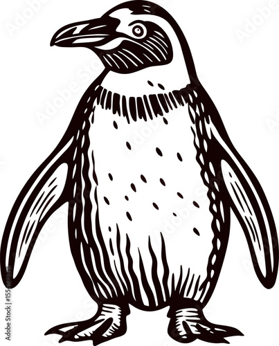 Hand drawn emperor penguin illustration in vintage engraved isolated on white background