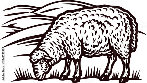 Vintage engraved illustration of a grazing sheep in a pastoral landscape, detailed wool texture and countryside background
