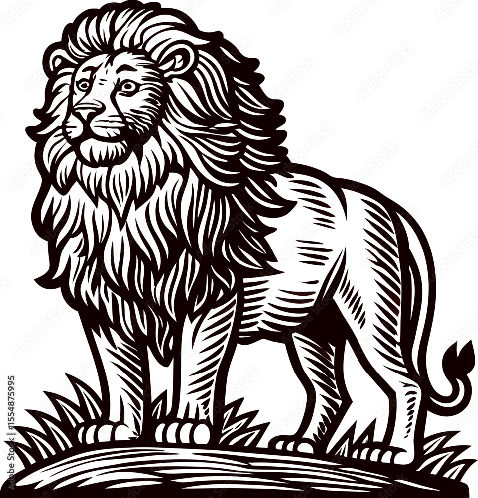 Fototapeta premium Majestic lion standing on grassy mound, vintage hand drawn engraving illustration in black and white