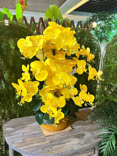 Foto daffodils in the garden