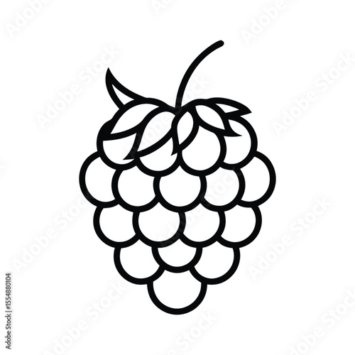 marionberry line art vector illustration