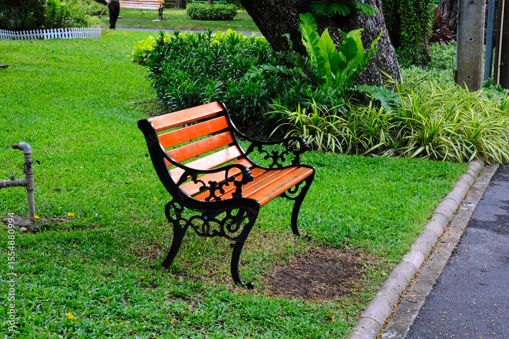 bench in the park bench in the park