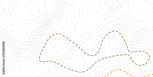 Vector line contour map texture, typography abstract pattern, golden mountain landscape grid