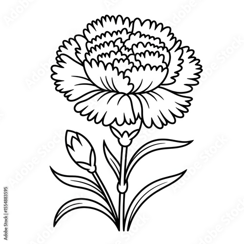 Carnation flower line drawing coloring page