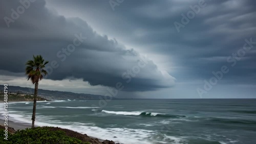 A lone palm tree stands silhouetted against a dramatic, dark storm cloud rolling over a restless ocean.