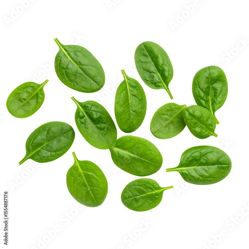 Fresh green spinach leaves arranged randomly, showcasing their vibrant color and textured veins.