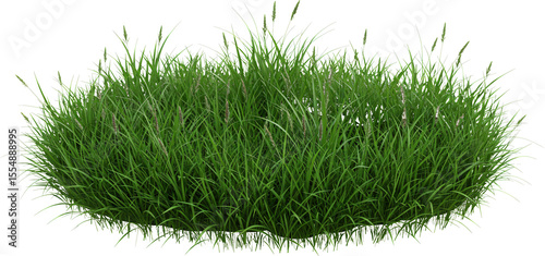 Wallpaper Mural patch of grass with transparent background frame border	 Torontodigital.ca