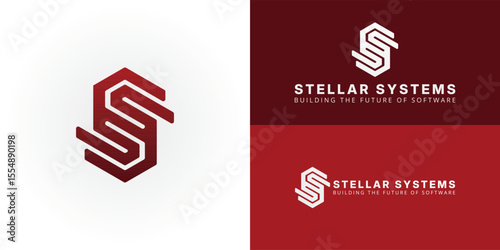 Geometric SS monogram within a bold hexagonal frame, symbolizing interconnectedness and strength. Ideal for innovative software, IT, or cybersecurity companies.