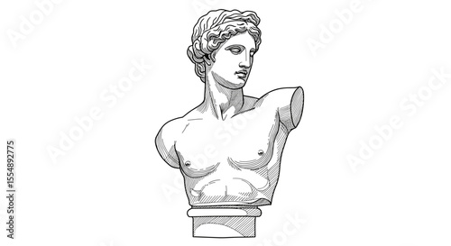 Classical sculpture vector illustration for art and design projects in detailed line style