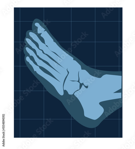 x ray image of the foot.Human foot bone have a red signal.  