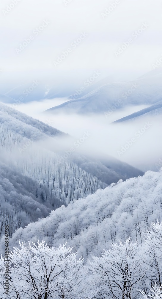Obraz premium Snowy winter mountain landscape. Layered snow-covered hills with dense frost trees and morning fog. Scenic outdoor scenery for winter travel and tourism.