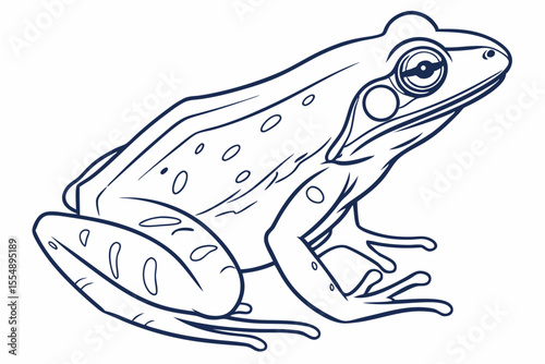 Hand-Drawn Frog Outline PNG
