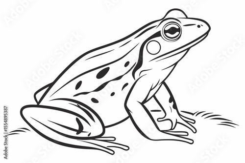 Minimalist Frog Outline Vector