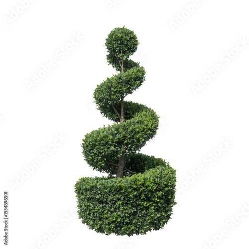 Spiral Topiary Elegance: A meticulously sculpted spiral topiary tree stands out, showcasing the art of precise landscaping with its intricate form and vibrant green foliage.