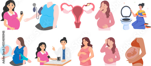 vector illustration of women pregnancy