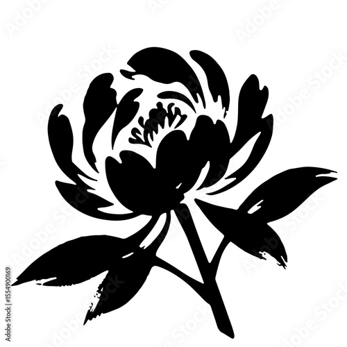 Black and white peony flower illustration, vector graphic design element