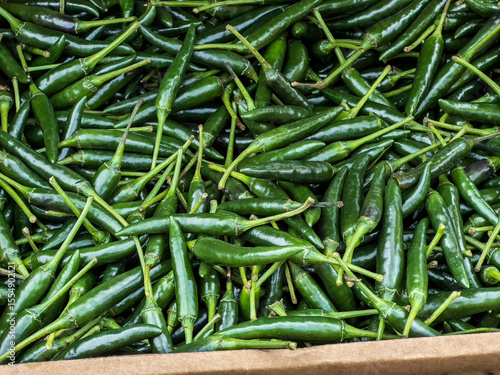 Grüne Chilischoten