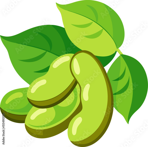  Lima beans