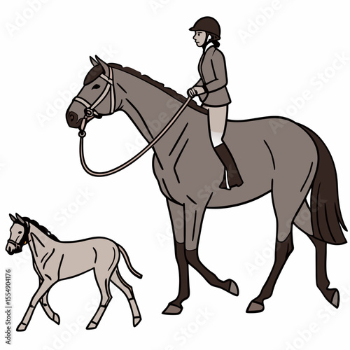 Rider guiding horse and foal across white background equestrian animal