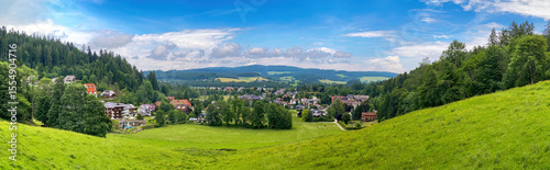 Wallpaper Mural Blick auf Hinterzarten im Schwarzwald, Panoramaaufnahme  Torontodigital.ca