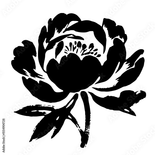 Black and white peony flower illustration, graphic design element