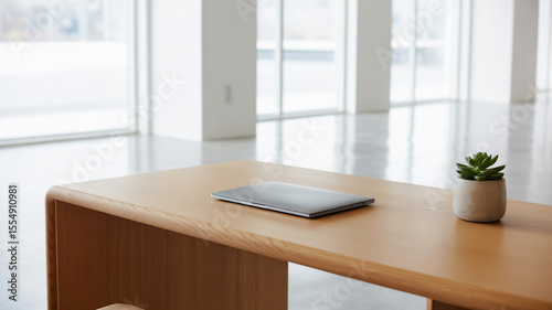 Laptop and succulent on a wooden table in a bright room with large windows and white walls and floor