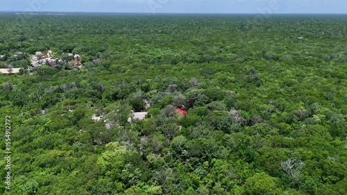 Aerial drone view of green tropical jungle canopy with blue sky in Tulum national park 