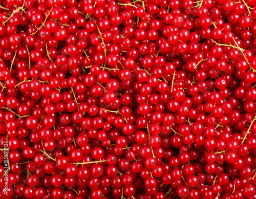 Photo-realistic Background Completely Filled with Fresh Red Currants.