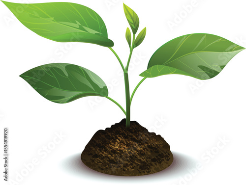 Sproutling: A lively vector drawing featuring a vibrant sproutling gracefully rising from a mound of rich soil, symbolizing new beginnings and growth in graphic illustration.
