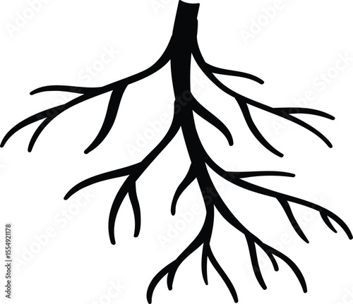 Root Silhouette: A stark, bold silhouette of a plant root system, emphasizing the intricate network essential for life and growth. 