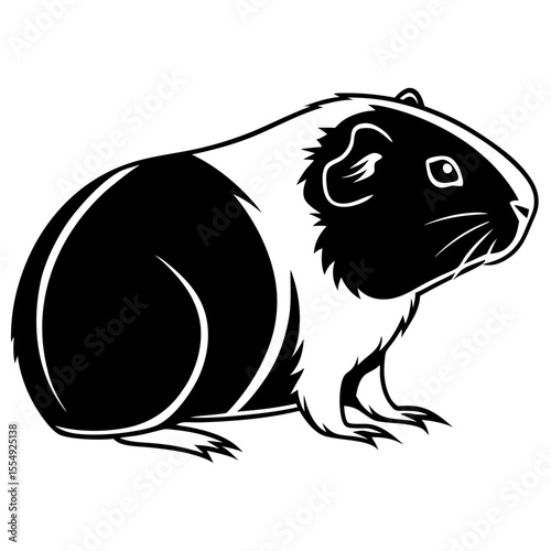 Cute guinea pig sitting with black and white fur silhouette