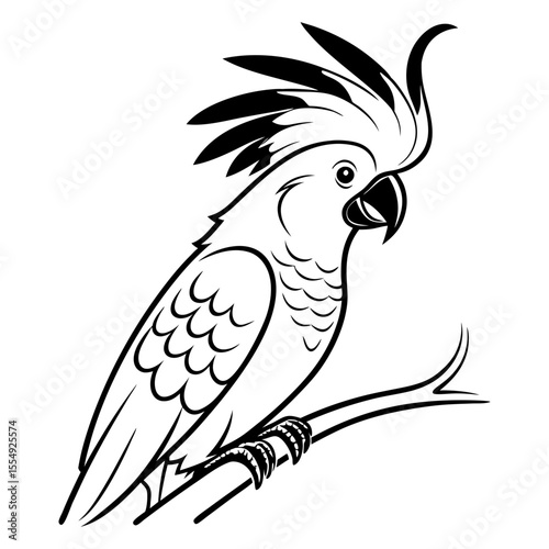 Stylized black and white cockatoo perched on a branch silhouette
