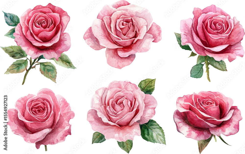 Fototapeta premium set of pink roses