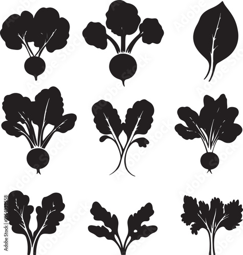 Collection of Simple and clean radish vector silhouettes in black