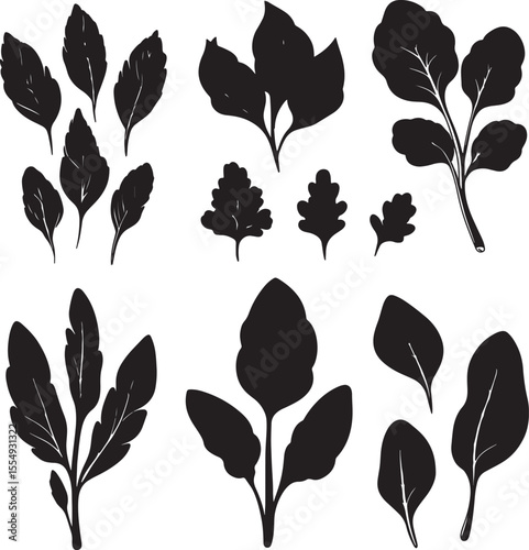 Set of sleek black vector silhouettes depicting spinach