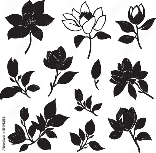 Black vector illustration of minimalist magnolia silhouettes