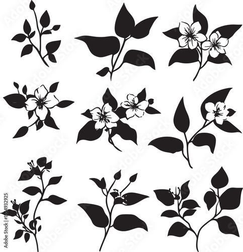 Collection of Simple and clean jasmine flower vector silhouettes in black