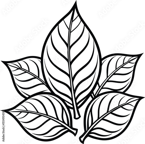 Stylized Grouping of Deciduous Leaves in Black and White Outline Design Elegant Natural Illustration