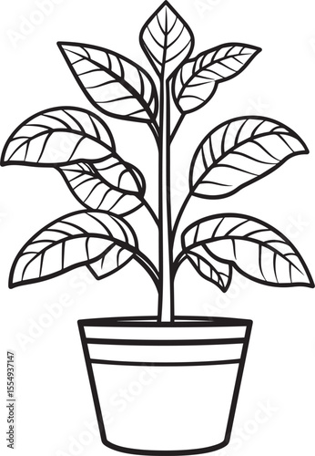 plant clean simple vector linear outline black vector illustration