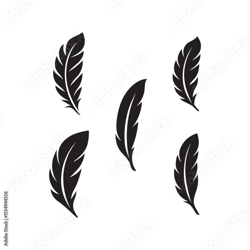 a black and white vector illustration set of feathered on white background