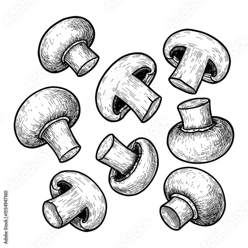 Detailed Button Mushrooms Falling or Floating in a Scattered Black and White Outline Line Art Drawing