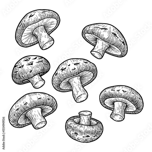 Multiple Floating Shiitake Mushrooms Black and White Outline Line Art Drawing Vintage Style Organic Food