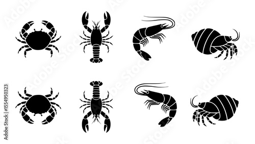 Seafood collection: crab, lobster, shrimp, and hermit crab illustrations 